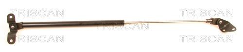 TRISCAN Tailgate strut Article number: 8710 41213 cheaply