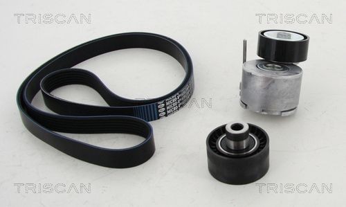 TRISCAN Coil spring Article number: 8750 6901 cheaply