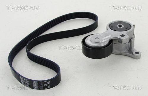 TRISCAN Coil spring Article number: 8750 6902 cheaply