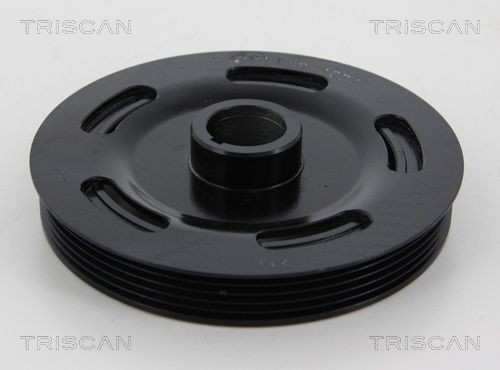 TRISCAN Chassissæt, fjedre Varenummer: 8755 28011 billige