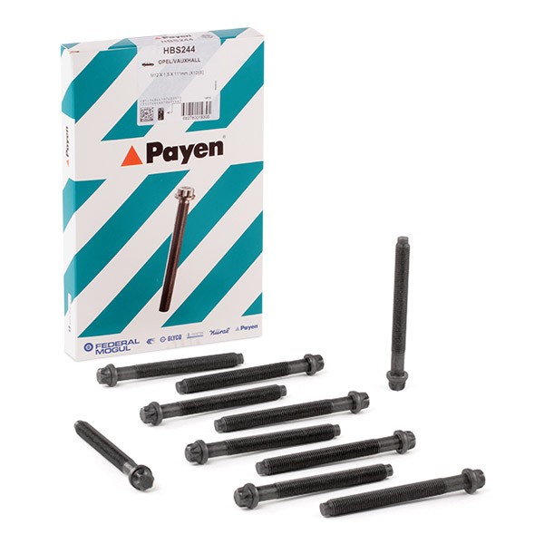 PAYEN Bolt Kit, cylinder head Article number: HBS244 cheaply
