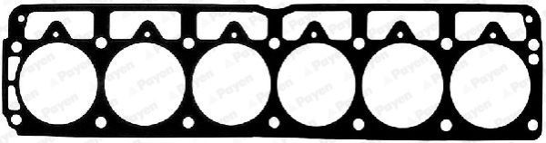 PAYEN Gasket, cylinder head Article number: AC5610 cheaply