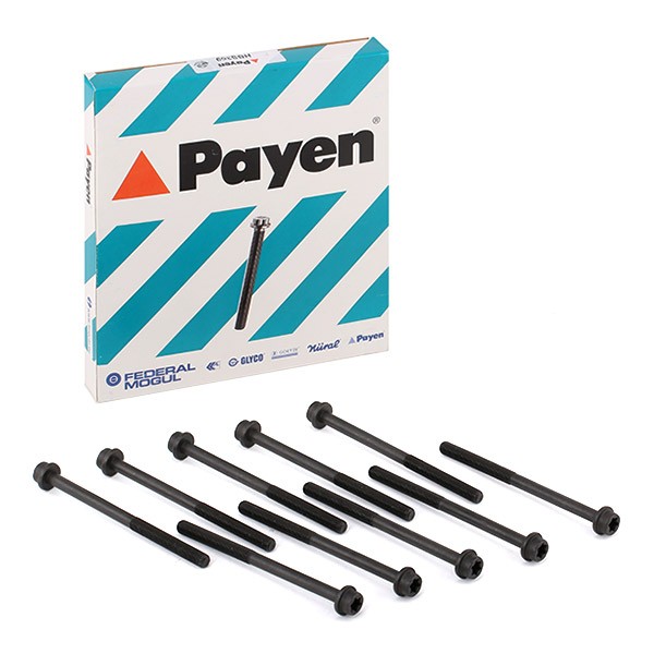 PAYEN Bolt Kit, cylinder head Article number: HBS369 cheaply