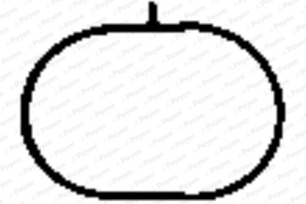 PAYEN Inlet manifold gasket Article number: JD5835 cheaply