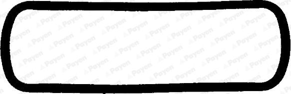 PAYEN Rocker cover gasket Article number: JM302 cheaply