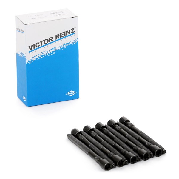 REINZ Bolt Kit, cylinder head Article number: 14-32124-01 cheaply