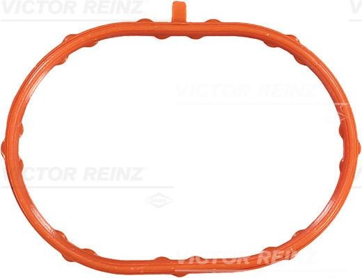 REINZ Inlet manifold gasket Article number: 71-53796-00 cheaply