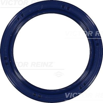 REINZ Crankshaft seal Article number: 81-53699-00 cheaply