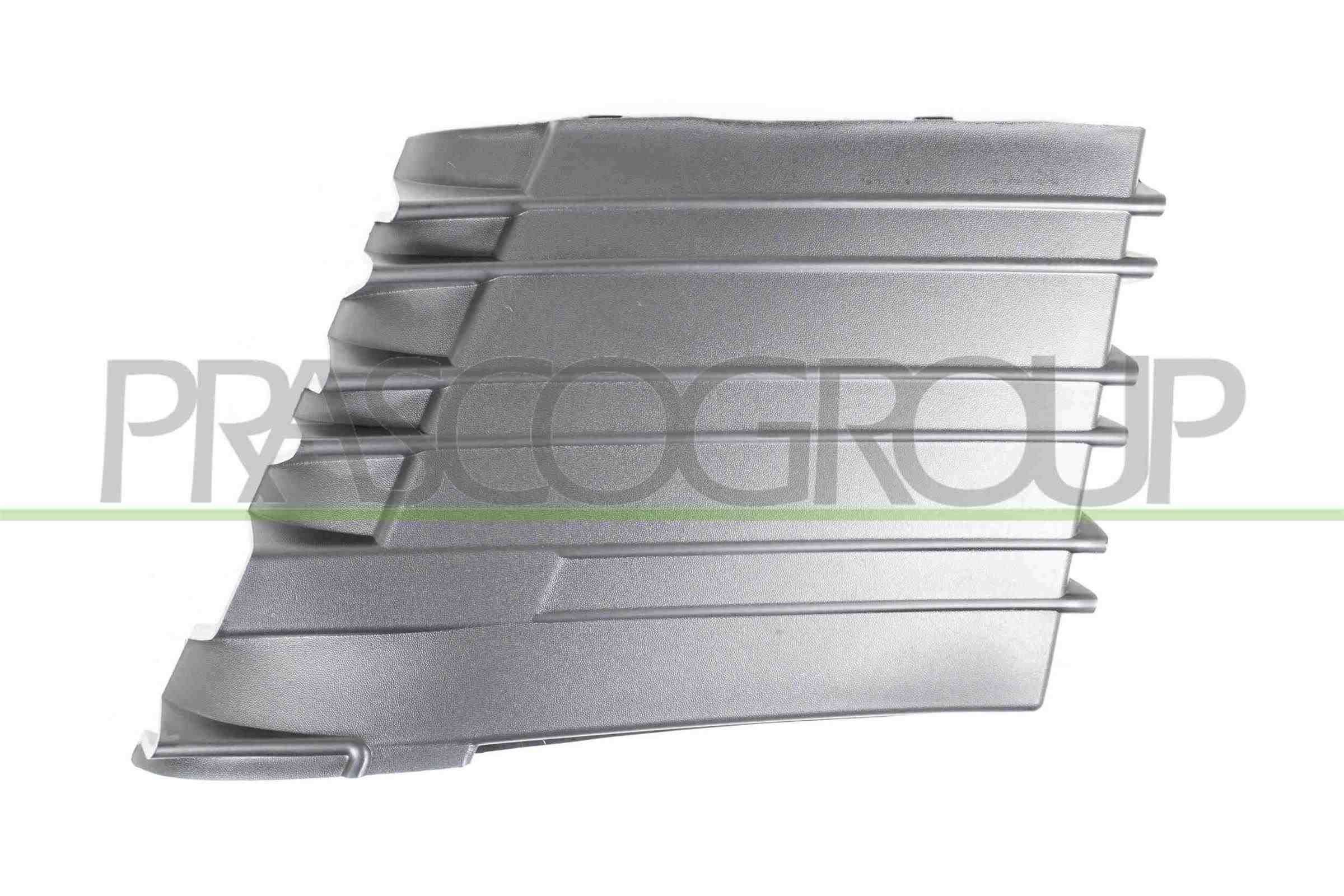 PRASCO Radiator Grille Article number: DH0492001 cheaply