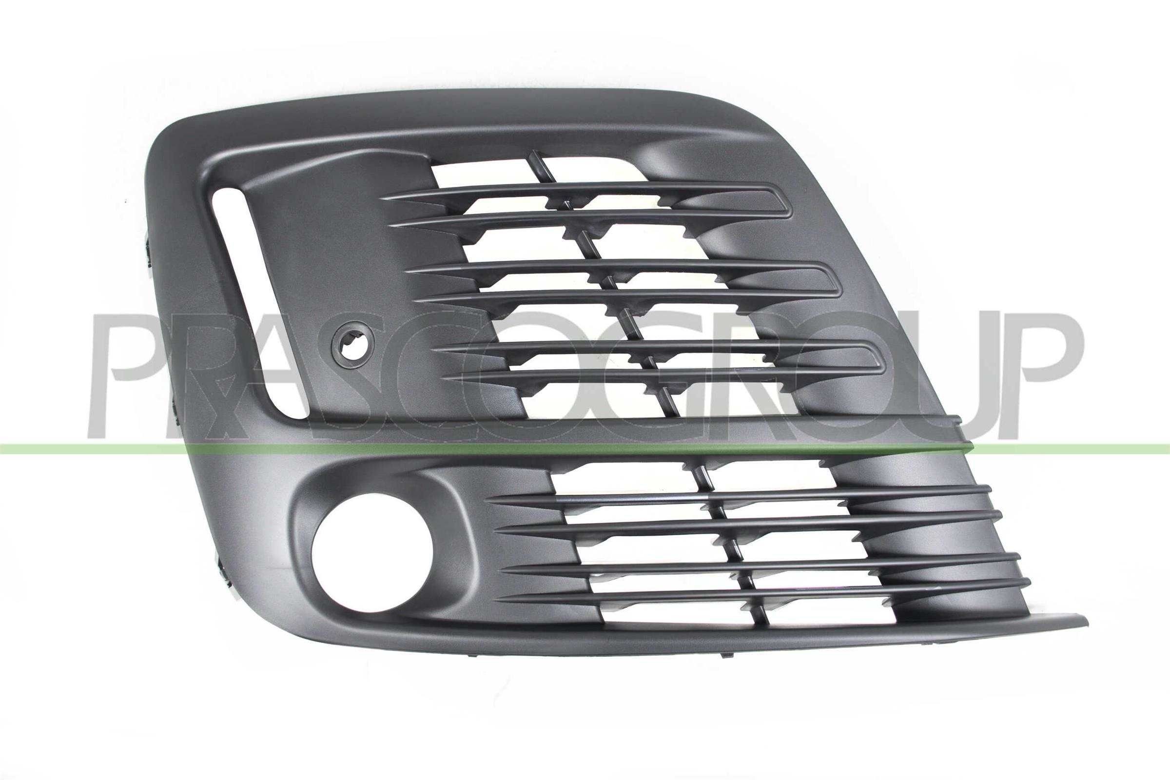 PRASCO Radiator Grille Article number: DH0492021 cheaply