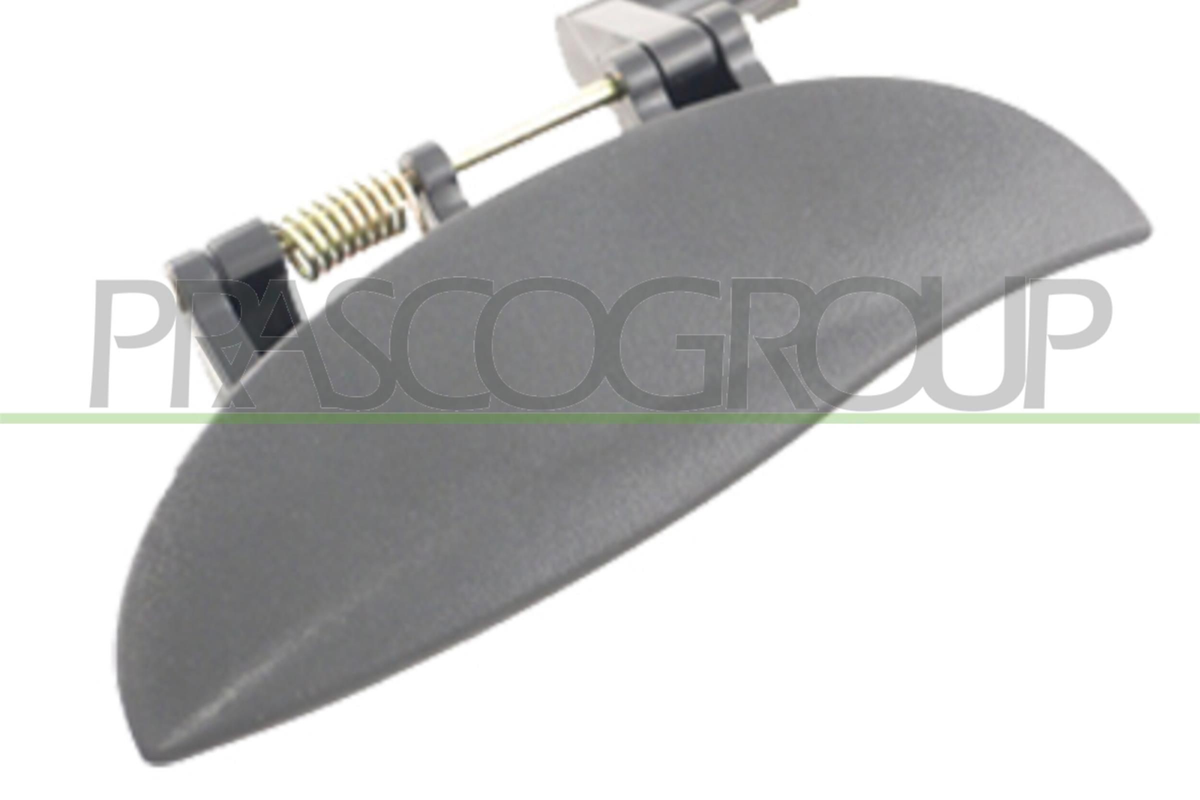 PRASCO RG4321247 Flap, tow hook 75 2.5 V6 177 PS Petrol 2006