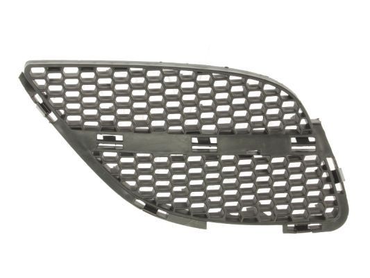 BLIC Radiator Grille Article number: 5513-00-1632914P cheaply
