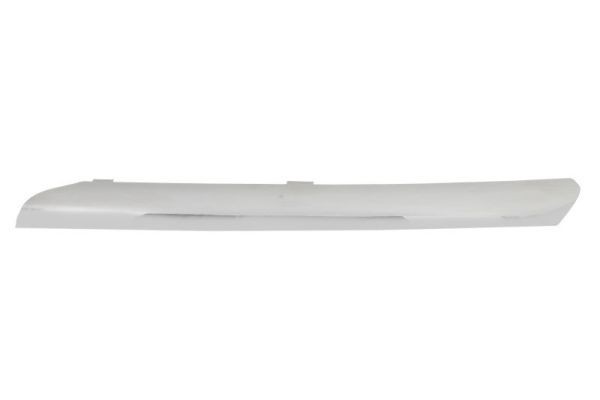 BLIC Trim / Protective Strip, radiator grille Article number: 5513-00-1632925P cheaply