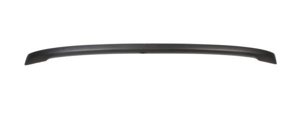 BLIC 5513-00-2533975P Ehis- / kaitseliist, Põrkeraud FOCUS 1.6 Ti-VCT 116 HP Bensiin 2011