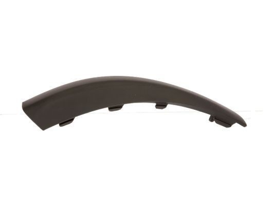 BLIC 5513-00-2533977P Ehis- / kaitseliist, Põrkeraud FOCUS 1.6 Ti-VCT 116 HP Bensiin 2011