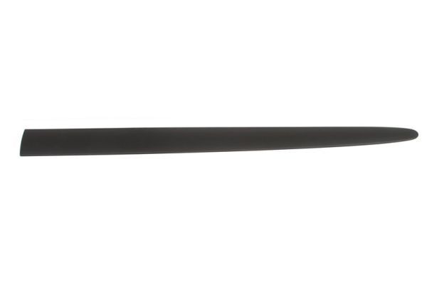 BLIC Door molding Article number: 5703-04-2045571P cheaply