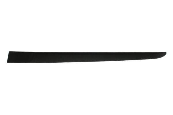 BLIC Door molding Article number: 5703-04-6033573P cheaply