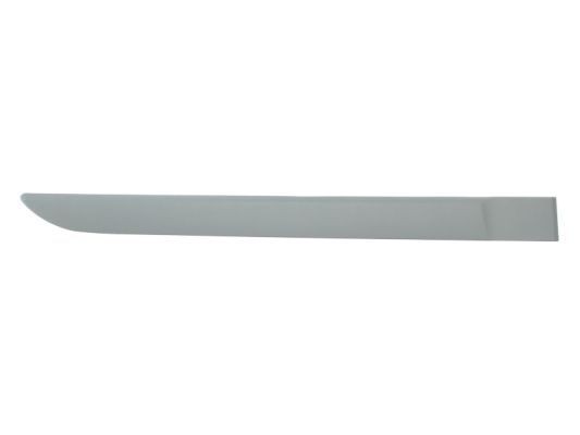 BLIC Door molding Article number: 5703-04-6042578P cheaply