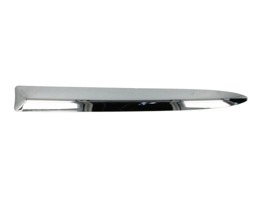 OEM Ehis- / kaitseliist, Põrkeraud 5703-05-2013923P pärit BLIC