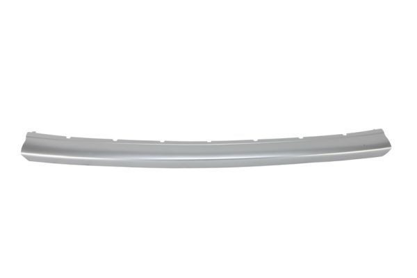 BLIC Bumper moulding Article number: 5703-05-6033922P cheaply