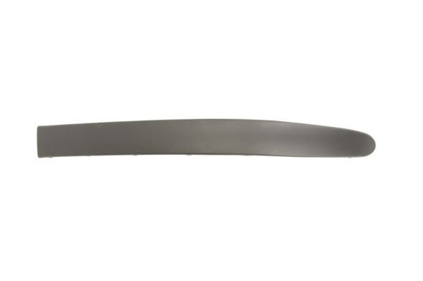 BLIC 5703-05-6037923P Bumper moulding MEGANE 1.9 dT 90 PS Diesel 2004