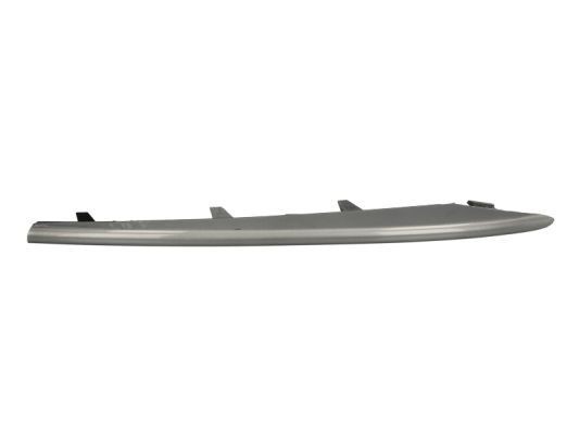 BLIC Bumper moulding Article number: 6502-07-0096921P cheaply
