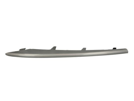 BLIC Bumper moulding Article number: 6502-07-0096922P cheaply