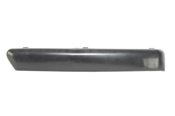 BLIC 6502-07-2533921P Ehis- / kaitseliist, Põrkeraud FOCUS 1.6 Ti-VCT 116 HP Bensiin 2011