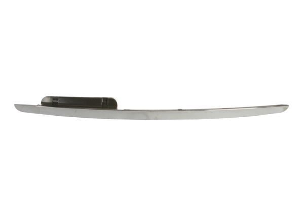 BLIC Trim / Protective Strip, radiator grille Article number: 6502-07-3506992P cheaply