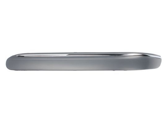 BLIC 6502-07-3515927P Bumper moulding C-Class C 270 CDI 2.7 (203.216) 170 PS Diesel 2007