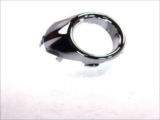 BLIC Bumper grill Article number: 6509-01-2565924P cheaply
