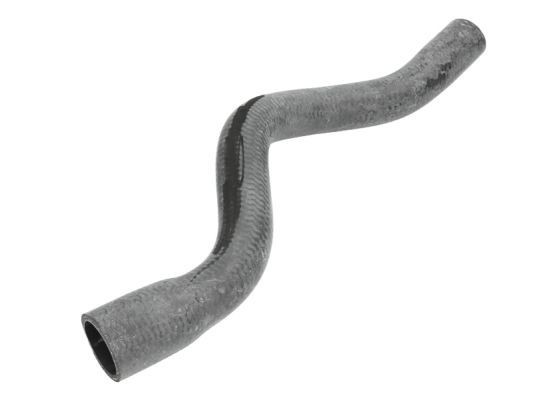 THERMOTEC Radiator hose Article number: DWC061TT cheaply