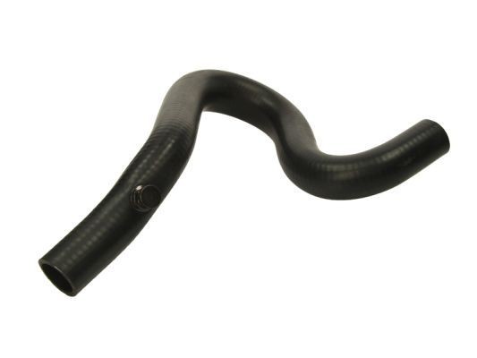 THERMOTEC Radiator hose Article number: DWP019TT cheaply