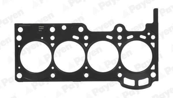PAYEN Gasket, cylinder head Article number: AG9830 cheaply