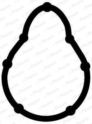 PAYEN Inlet manifold gasket Article number: JD5315 cheaply