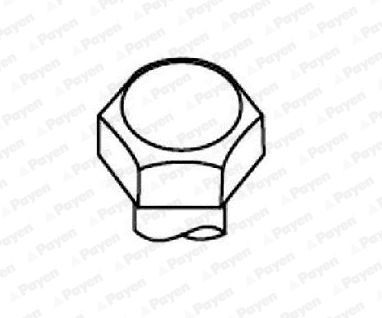 PAYEN Bolt Kit, cylinder head Article number: HBS104 cheaply
