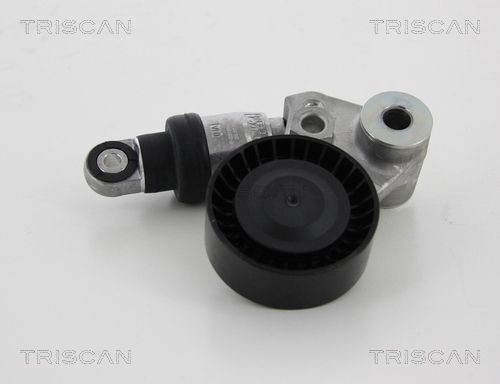 TRISCAN Tensioner Lever, v-ribbed belt Article number: 8641 433004 cheaply