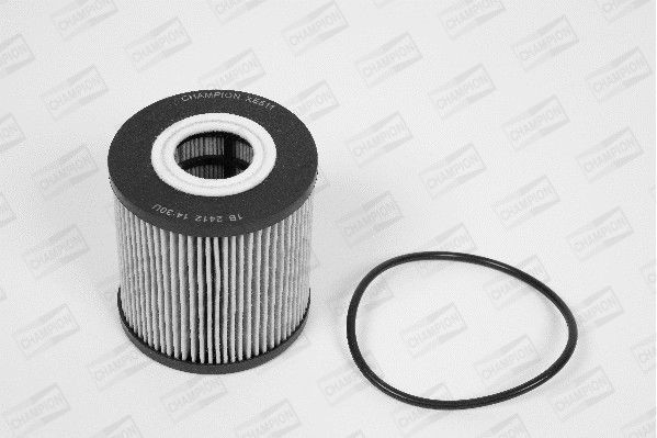CHAMPION Oil filter Article number: XE511/606 cheaply