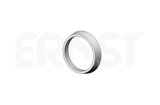 ERNST Seal, exhaust pipe Article number: 493918 cheaply