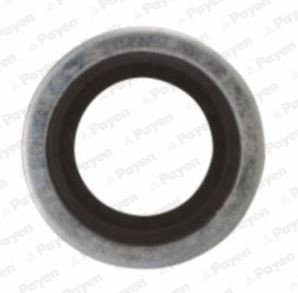 PAYEN Seal, oil drain plug Article number: KG5012 cheaply