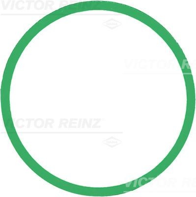 REINZ Inlet manifold gasket Article number: 71-39303-00 cheaply