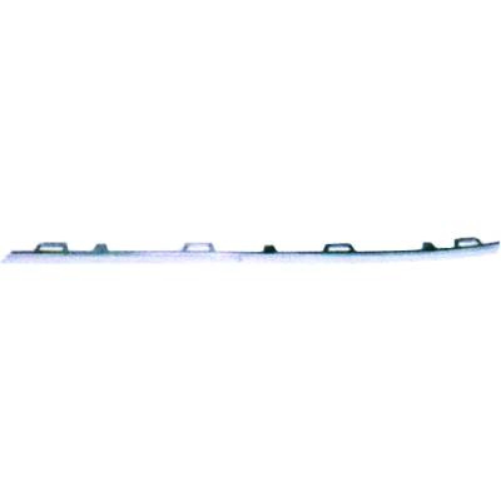 DIEDERICHS Radiator Grille Article number: 2275042 cheaply