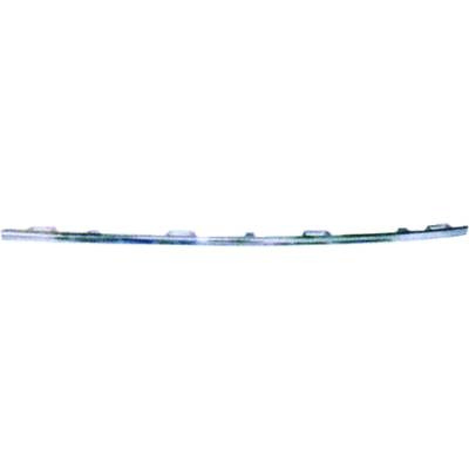 DIEDERICHS Radiator Grille Article number: 2275043 cheaply