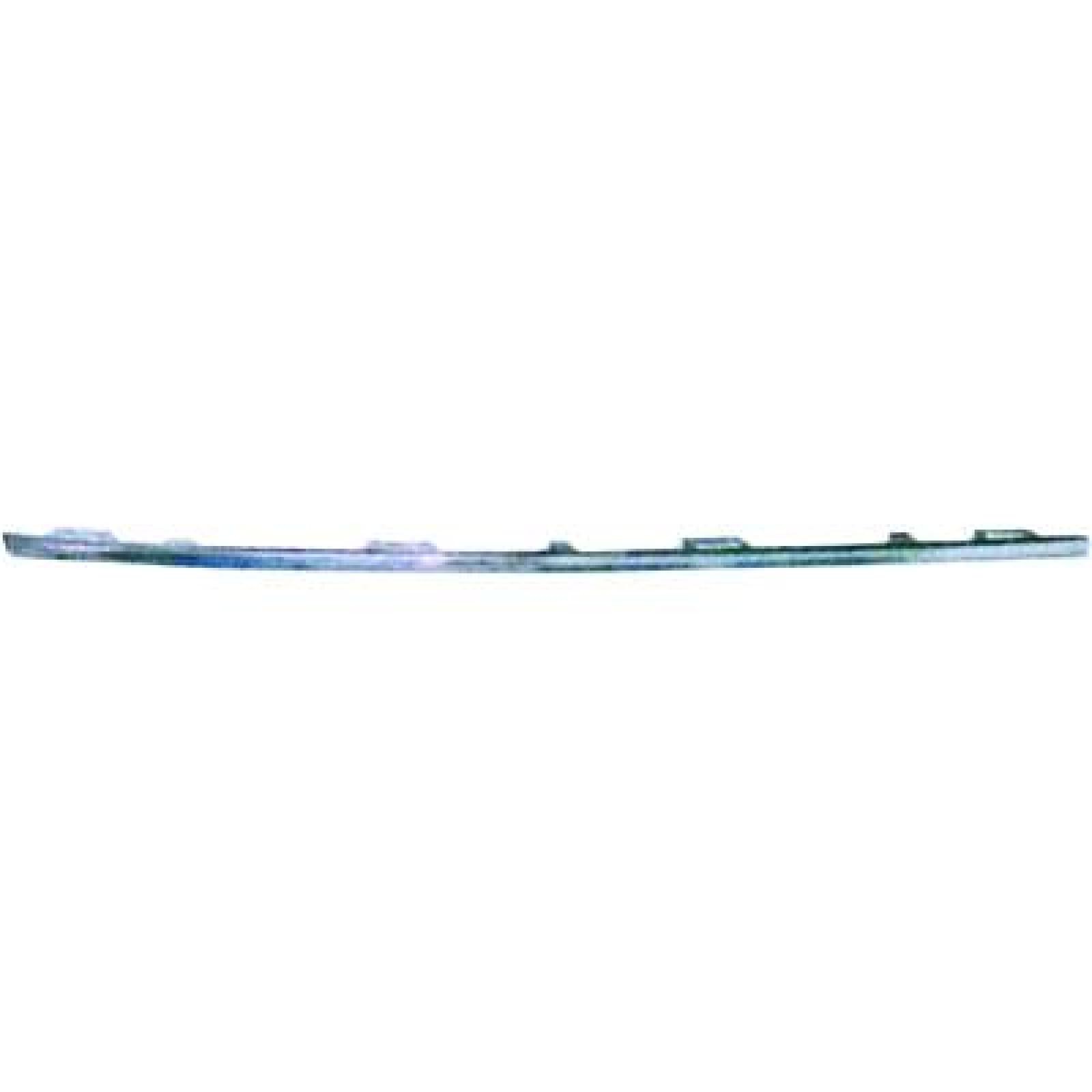 DIEDERICHS Radiator Grille Article number: 2275045 cheaply