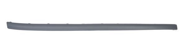 BLIC 5513-00-2533981P Ehis- / kaitseliist, Põrkeraud FOCUS 1.6 Ti-VCT 116 HP Bensiin 2011