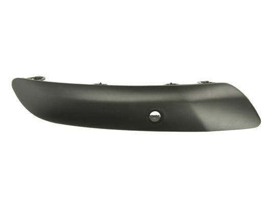 BLIC Bumper moulding Article number: 5703-05-5519973P cheaply