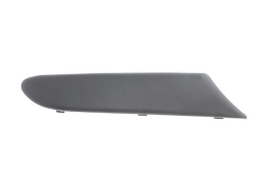 BLIC Trim / Protective Strip, bumper Article number: 5703-05-6435922P cheaply
