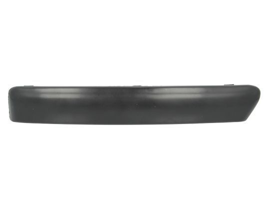 BLIC 6502-07-2533923P Ehis- / kaitseliist, Põrkeraud FOCUS 1.6 Ti-VCT 116 HP Bensiin 2011