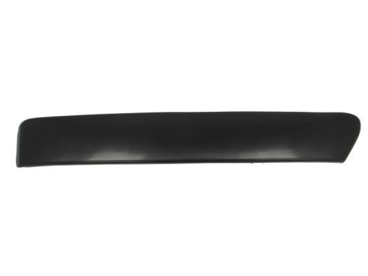BLIC 6502-07-2533924P Ehis- / kaitseliist, Põrkeraud FOCUS 1.6 Ti-VCT 116 HP Bensiin 2011