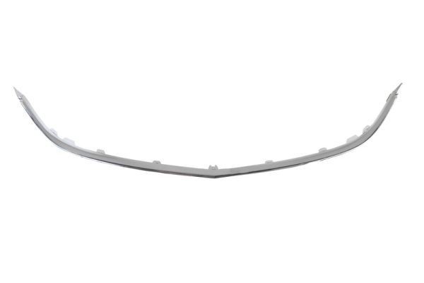 BLIC Trim / Protective Strip, radiator grille Article number: 6502-07-5053992P cheaply